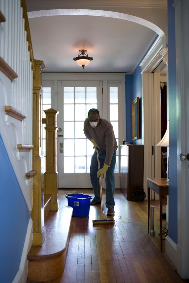 Regular Domestic Cleaning